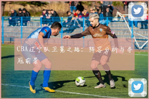 CBA辽宁队卫冕之路:阵容分析与夺冠前景